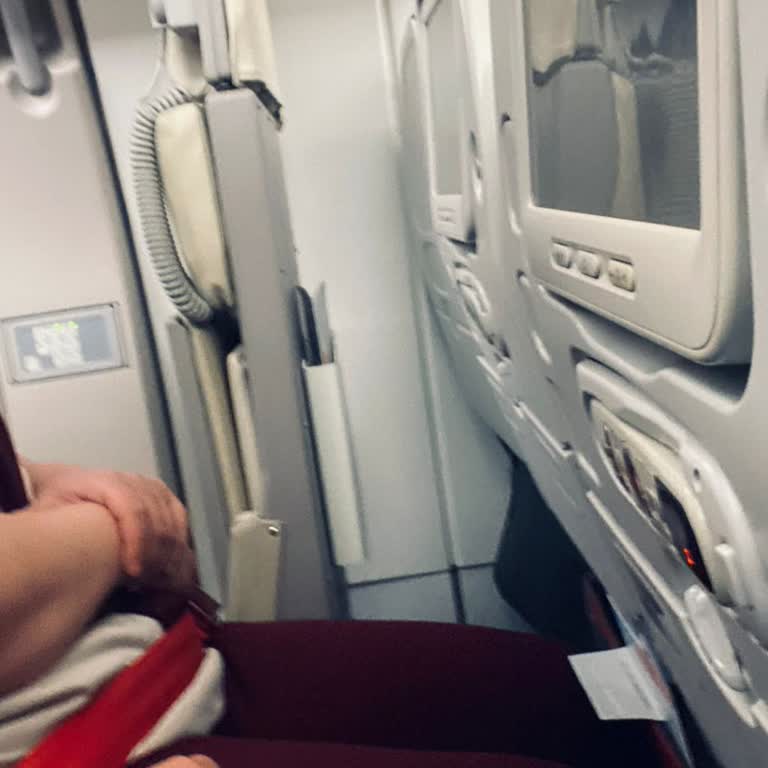 Acil Çıkış Koltuğu Ücretinin İadesi Ve Uçak Değişikliği Nedeniyle Yaşanan Mahsuriyet