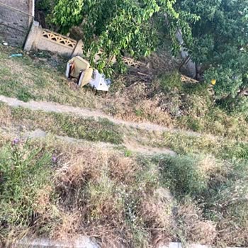 Kalamış Sokak’ta Asfalt Eksikliği Ve Yüksek Otlarla Oluşan Haşere Sorunu