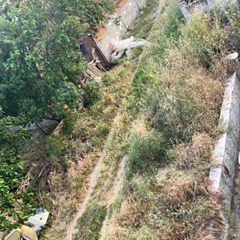 Kalamış Sokak’ta Asfalt Eksikliği Ve Yüksek Otlarla Oluşan Haşere Sorunu