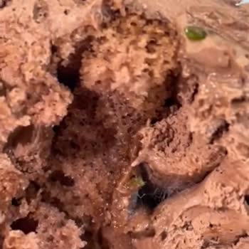 Krokanlı Pastada Küf: Gıda Güvenliği İhlali