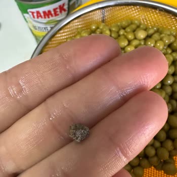 Tamek Bezelye Konserve İçinde Taş Bulunması Sağlık Riski