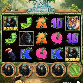 Yeşil Sonsuzluk Bonus Oyununa Erişim Hatası Ve Nesine’in Çözüm Reddi