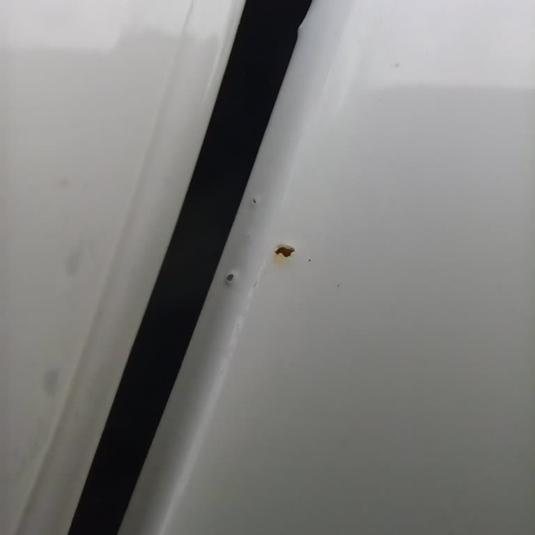 Renault Megane'de Sis Farı Eksikliği Ve Boya Kusuru Çözülmedi