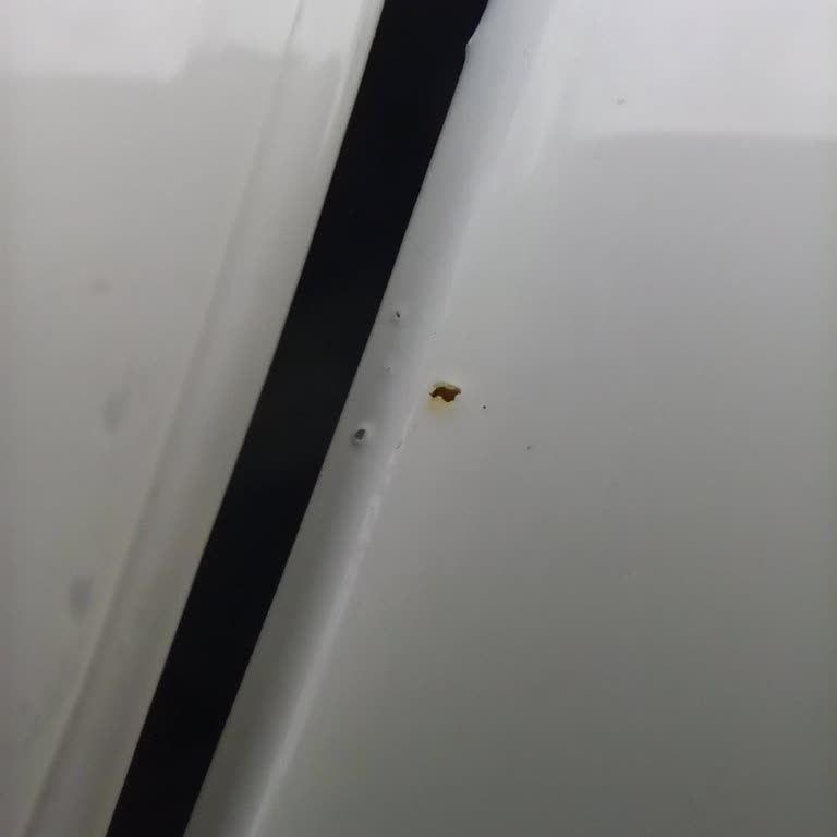 Renault Megane Teslim Anında Eksik Sis Farı Ve Korozyonlu Boya Kusuru