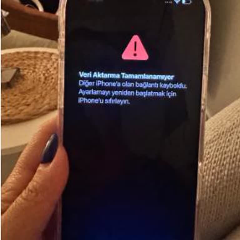 Veri Aktarımının Başarısızlığı Ve Personel Yetersizliği