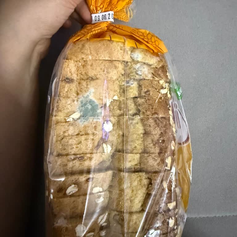 Migros’ta Bozulmuş Karışık Tahıllı Ekmekte Küflenme Ve İade Talebi