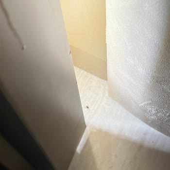 Temizlik Yok, Örümcek Ve Saçlar Otelde Hijyen Faciası Yarattı