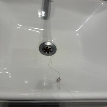 Temizlik Yok, Örümcek Ve Saçlar Otelde Hijyen Faciası Yarattı