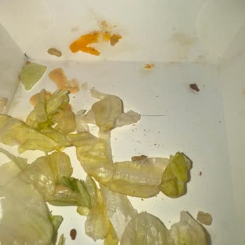 McDonald's Hamburgerinde Hijyen İhlali Ve İlgisiz Müşteri Hizmetleri