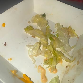 McDonald's Hamburgerinde Hijyen İhlali Ve İlgisiz Müşteri Hizmetleri