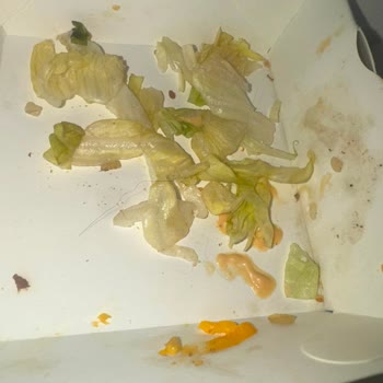 McDonald's Hamburgerinde Hijyen İhlali Ve İlgisiz Müşteri Hizmetleri