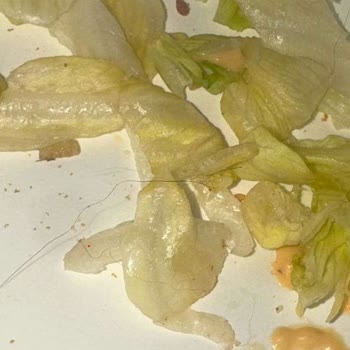 McDonald's Hamburgerinde Hijyen İhlali Ve İlgisiz Müşteri Hizmetleri