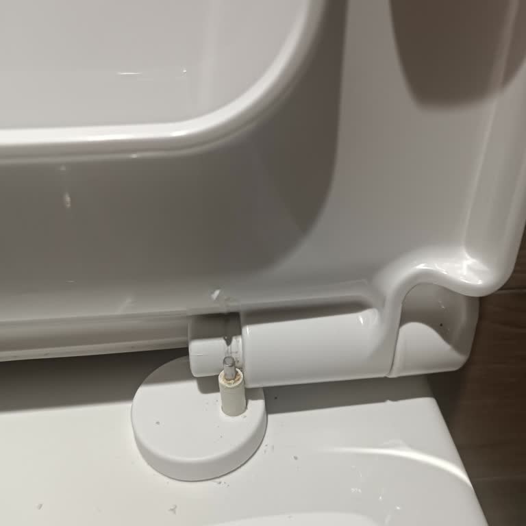 Vitra S20 Klozet Kapağı Menteşesi Kırıldı, Ücretsiz Değişim Talebi