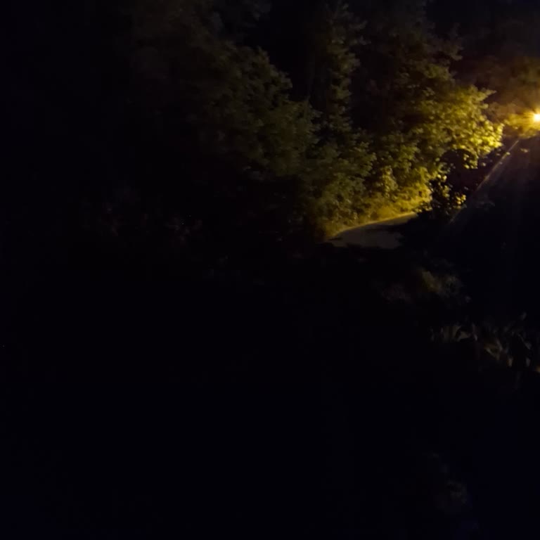 Uğurca Mahallesinde Sokak Aydınlatması Eksikliği Güvenliği Tehdit Ediyor