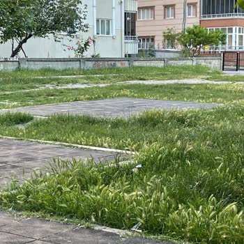 Mevlana Mahallesi Çocuk Parkı Kirli, Bakımsız Ve Güvensiz