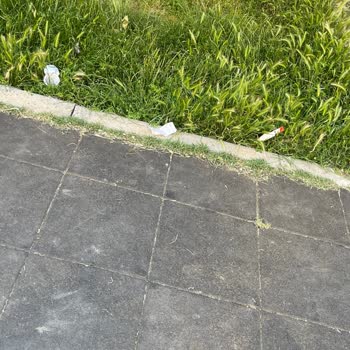 Mevlana Mahallesi Çocuk Parkı Kirli, Bakımsız Ve Güvensiz