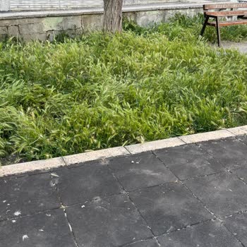 Mevlana Mahallesi Çocuk Parkı Kirli, Bakımsız Ve Güvensiz