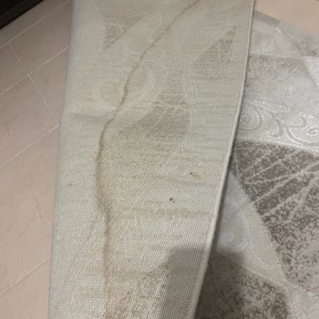 Fabrika Halı Yıkama’da Lekeler Çıkarılmadı Ve Yeni Leke Bırakıldı