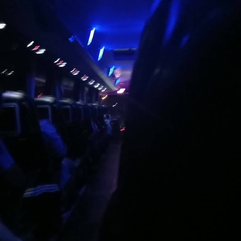 Şoförün Güvensiz Sürüşü Ve Böcekli Otobüs