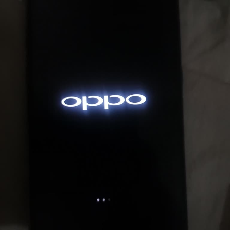 Oppo A5s Telefonum Açılmıyor, Ücretsiz Onarım Ve İnceleme Talep Ediyorum