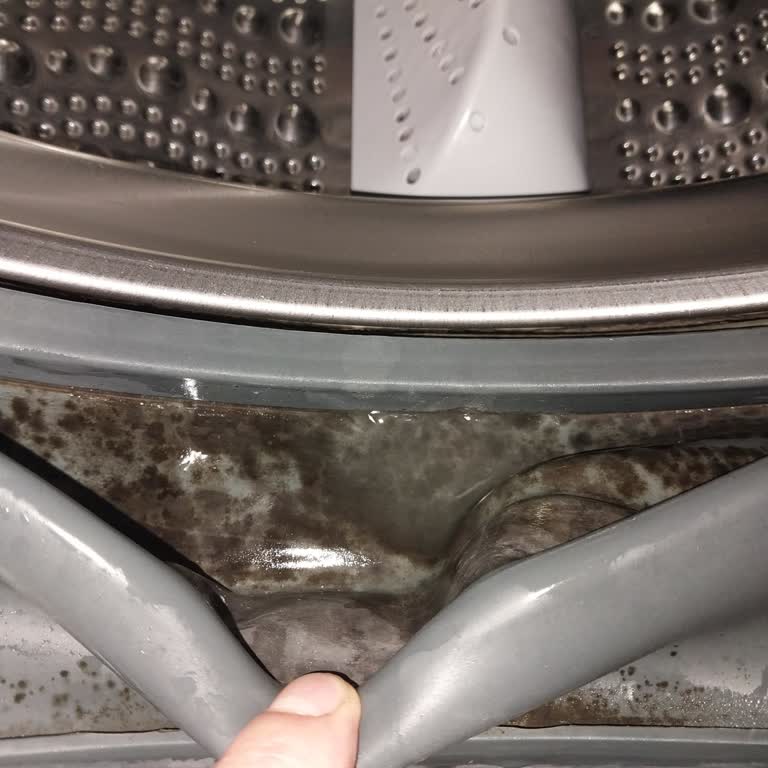 Bosch Wan24200TR Çamaşır Makinesinde Kapak Sızıntısı Ve Koku Sorunu