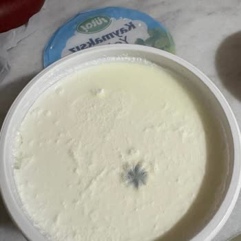 Sütaş 850 Gr Yoğurtta Küflü Ve Kötü Koku Şikayeti