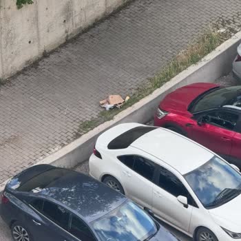 Kurye Siparişi Yiyerek Teslim Etmedi, Ücret İadesi Ve Disiplin İstiyorum