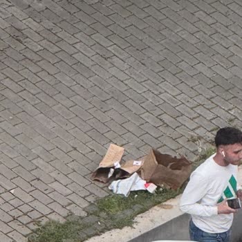 Kurye Siparişi Yiyerek Teslim Etmedi, Ücret İadesi Ve Disiplin İstiyorum