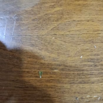Beypazarı Soda Şişesinde Cam Parçası Keşfedildi