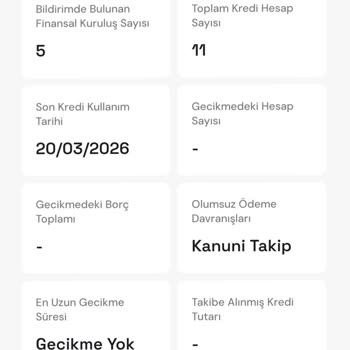 Findeks Puanımda Düşük Seviyeler Ve Dalgalı Değişimler