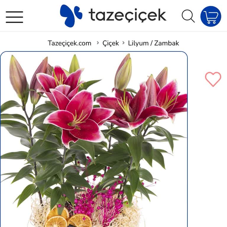 Sipariş Edilen Çiçek Görseliyle Uyuşmuyor, İade Talebim Reddedildi