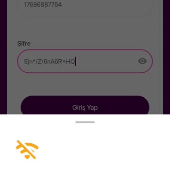 Müşteri Hizmetlerine Ulaşamama Ve Online İşlem Hatası
