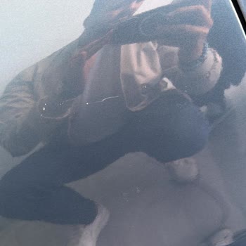 Arabam.com’un Sakladığı Araç Kusurları Nedeniyle Satışın İptali Ve İade Talebi