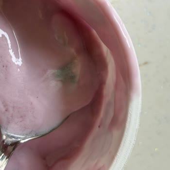 Sek Markasının Quark Peyniri İçinde Küf Tespiti Ve Güven Sorunu
