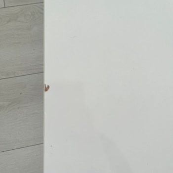 Kırık Ve Deforme Mobilyalar İçin Uzun Süreli Mağduriyet Ve Cevapsız Çağrılar