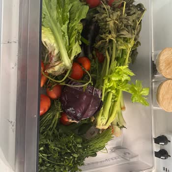 Garanti Kapsamındaki Buzdolabında Sebzeler Üç Günde Bozuluyor, Çözüm Bekliyor