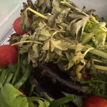 Garanti Kapsamındaki Buzdolabında Sebzeler Üç Günde Bozuluyor, Çözüm Bekliyor