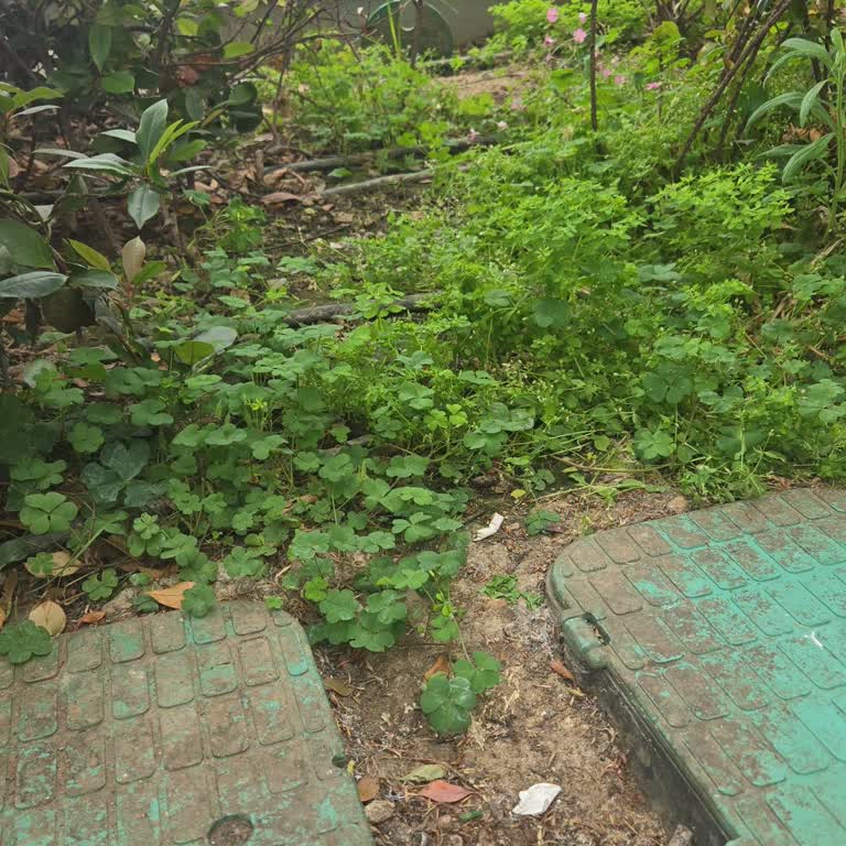 Metropol AVM'de Kedi Su Ve Mama Kapları İzinsiz Kaldırıldı