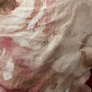 Şal 24 Saatte Eridi Ve Yırtıldı, Yenisi İsteniyor