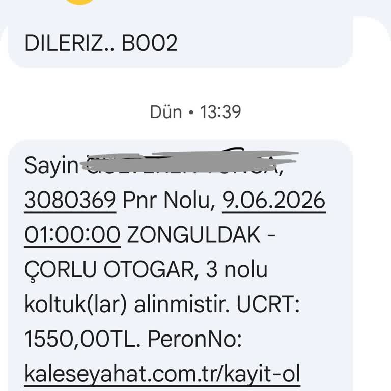 Gece Yolculuğunda Muavinin Cinsel Saldırısı