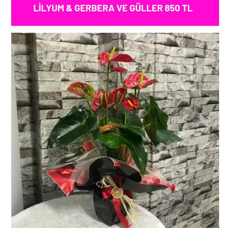 Teslim Edilmeyen Çiçek Ve İade Edilmeyen 880 TL