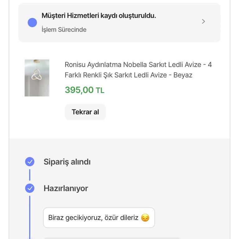 Ronisu Saat & Aydınlatma Kargoya Verilmedi