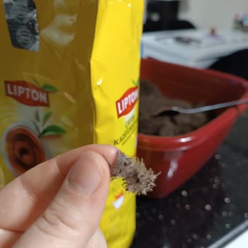 Lipton Yellow Çay Paketi İçinde Kuş Tüyü Bulunması Sağlık Ve Hijyen Endişesi Yaratıyor