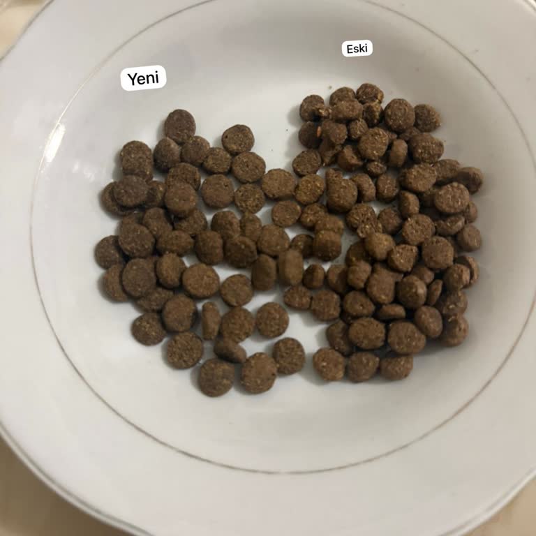 Kediler Yeni Mamayı Yemiyor, İade Talebi