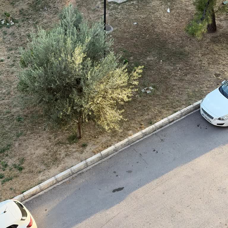 Araç Teslim Edilmediği Ve Bilgi Eksikliği Nedeniyle Mağduriyet