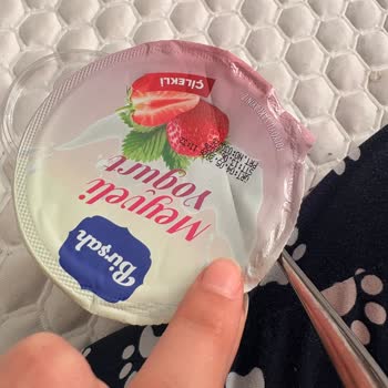 Son Kullanma Tarihi Geçmemiş Küflü Yoğurt: Sağlık Riski