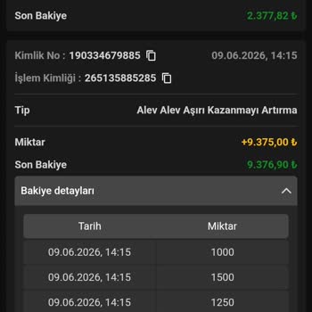Royalbet’te Onaysız 42 Bin TL’lik Bakiyenin Sıfırlanması