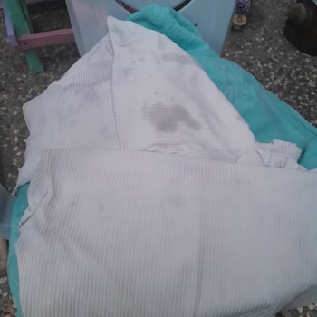 Profilo Çamaşır Makinesinde Yağ Lekeleri, Tamir Ve Değişim Talebi