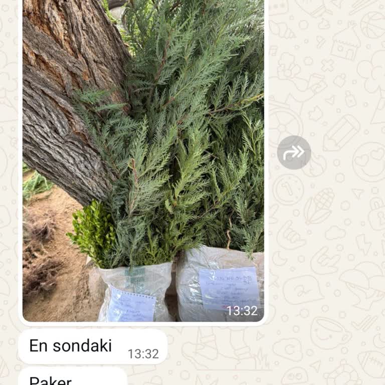 Yanlış Ve Eksik Ürün Gönderimi, Söz Verilen Telafi Gerçekleşmedi