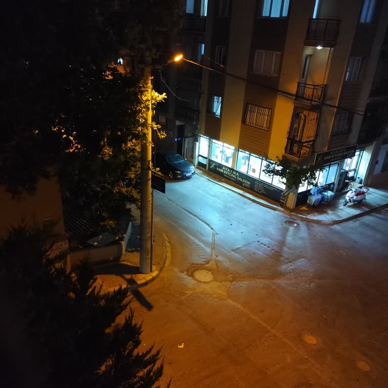 İzmir Karabağlar’da Ağaç Ve Aydınlatma Telleri Tehlikesi Çözülmedi